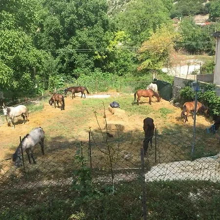 Landhaus Veliu Bajkaj